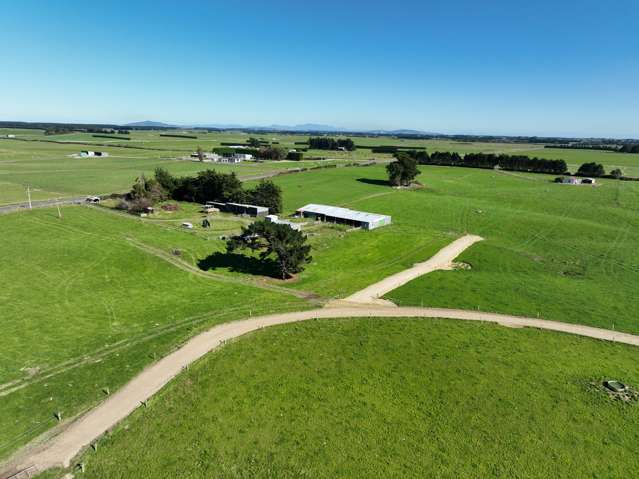 79 Tapper Road, Farm 3 Rimu_4