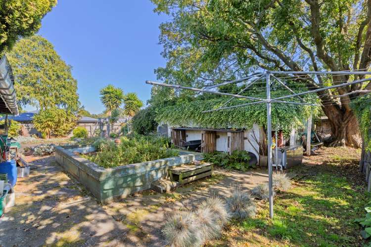 49 Dillons Point Road Islington_19