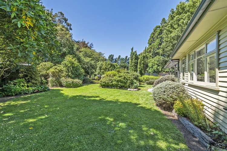 428 Kowai Road Springfield_9