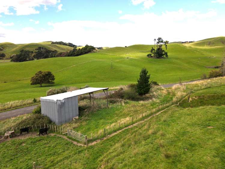 672 Weber Road Dannevirke_16