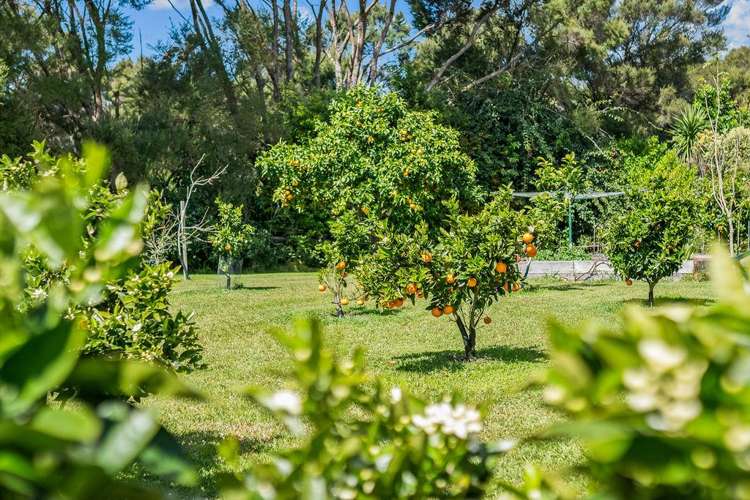 193 Rangitane Road Kerikeri_26