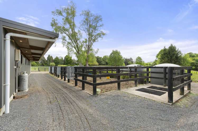 626B Ngaruawahia Road Te Kowhai_11