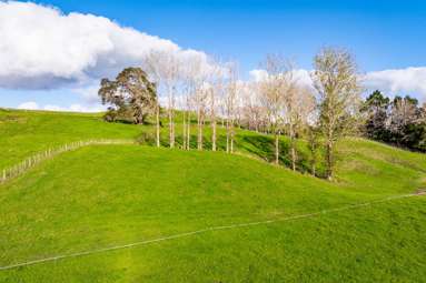 945a Waiotira Road_4