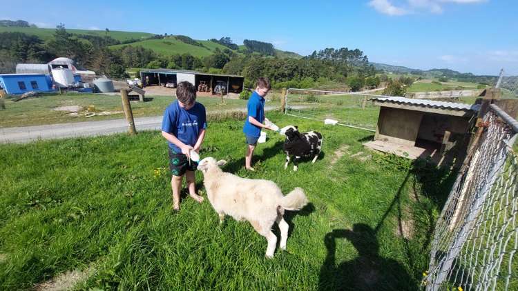 3308 State Highway 1 Hukerenui_12