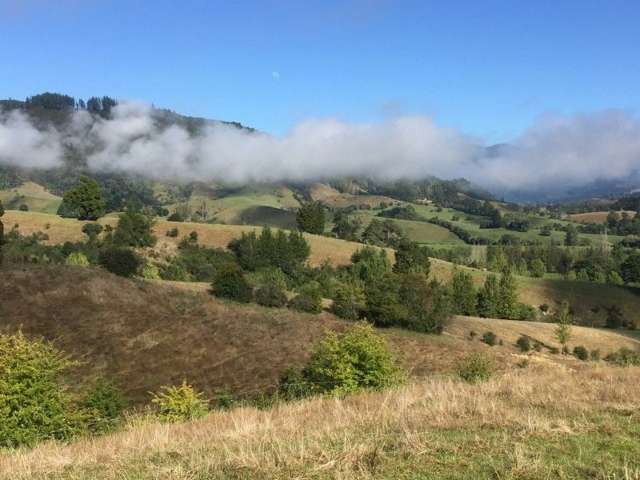 35 Thorpe-Orinoco Road Ngatimoti_1