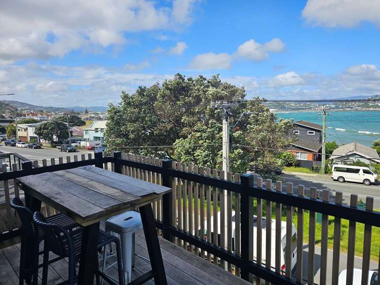 276 Queens Drive Lyall Bay_1