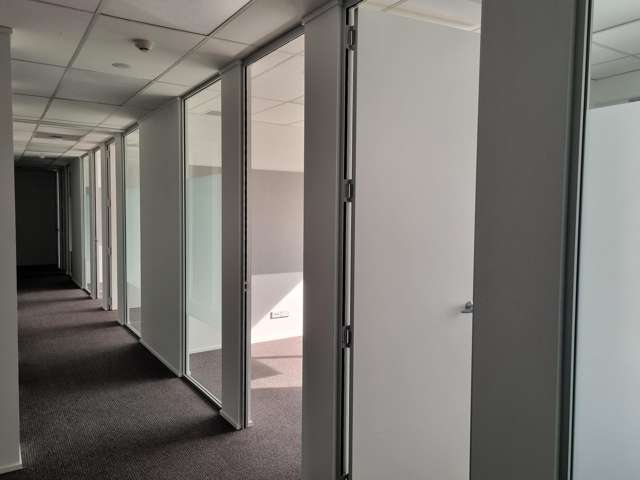 15 Murphy Street Thorndon_2