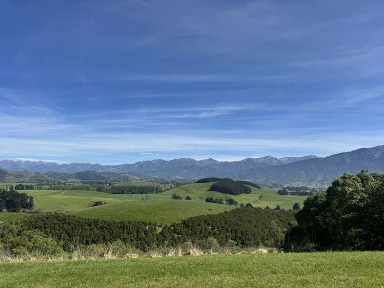 Ocean Ridge Kaikoura_19