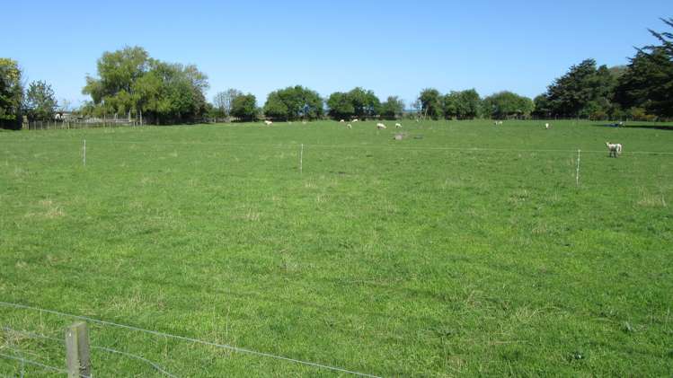 85 Waimate Highway Saint Andrews_11