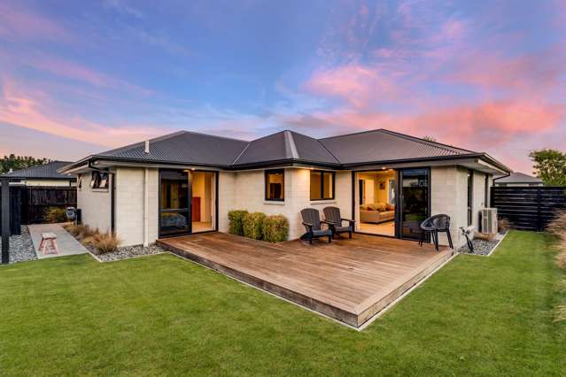 Modern Marshland Masterpiece