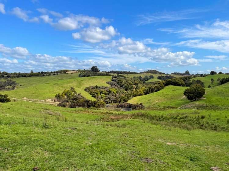 583 Lusk Road Ruawai_9