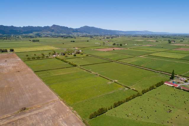 26 Waihekau Road Hauraki Surrounds_1