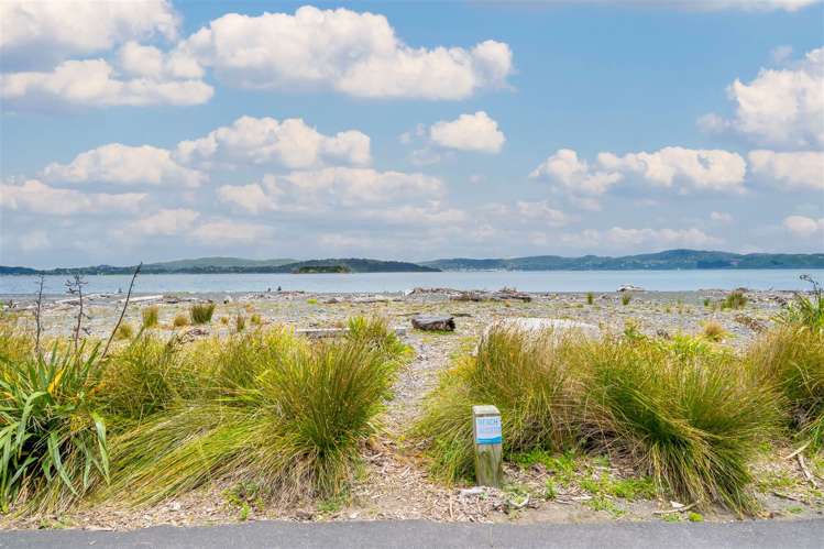 26 Tuatoru Street Eastbourne_21