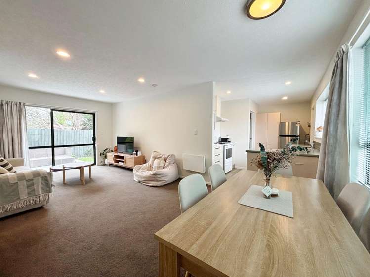 26A Plunket St Spreydon_5