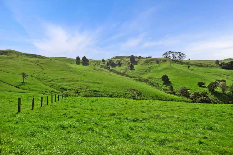 895 Wairamarama Onewhero Road Onewhero_18