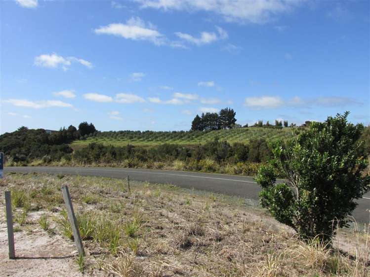 117 Stratford Drive Cable Bay_13