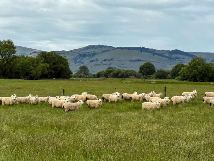 573 Otama Flat Road Otama_9