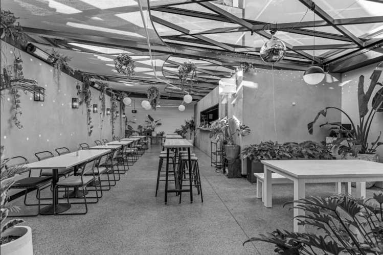 5 Rose Road Grey Lynn_4