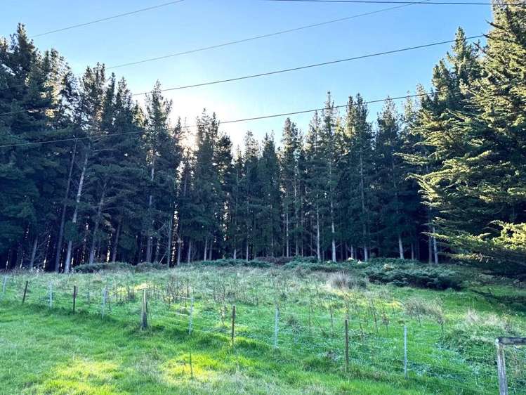 109 Mclaren Gully Road Allanton_11