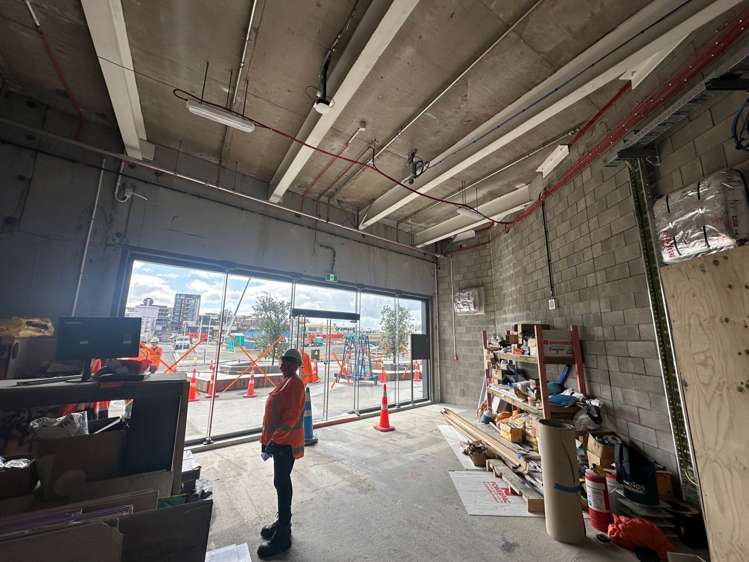 21 Ruru Street Eden Terrace_7