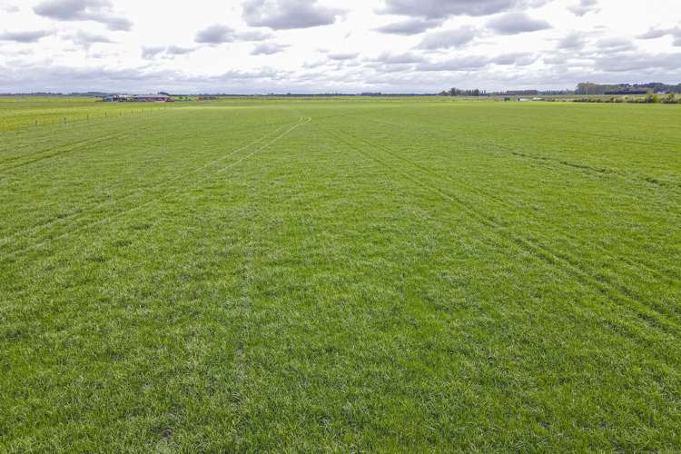 Stranges Road Ashburton_9