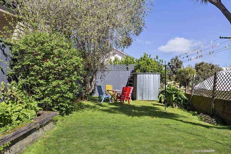 65 Herald Street Berhampore_9