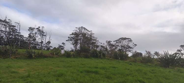 1594 Millbrook Road Taipuha_23