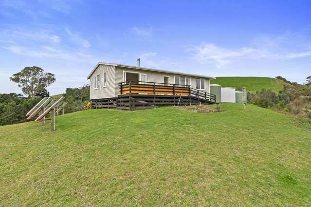 20a Gabriels Gully Road Opotiki and Surrounds_2