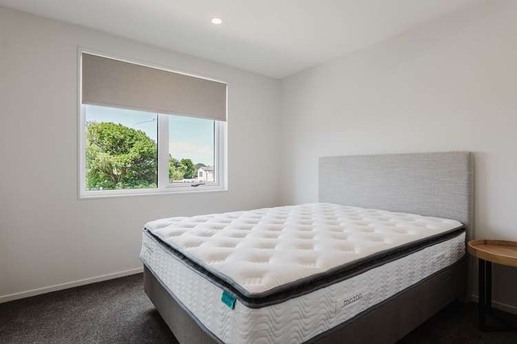 100 Te Puketoka Lane Mangere_8