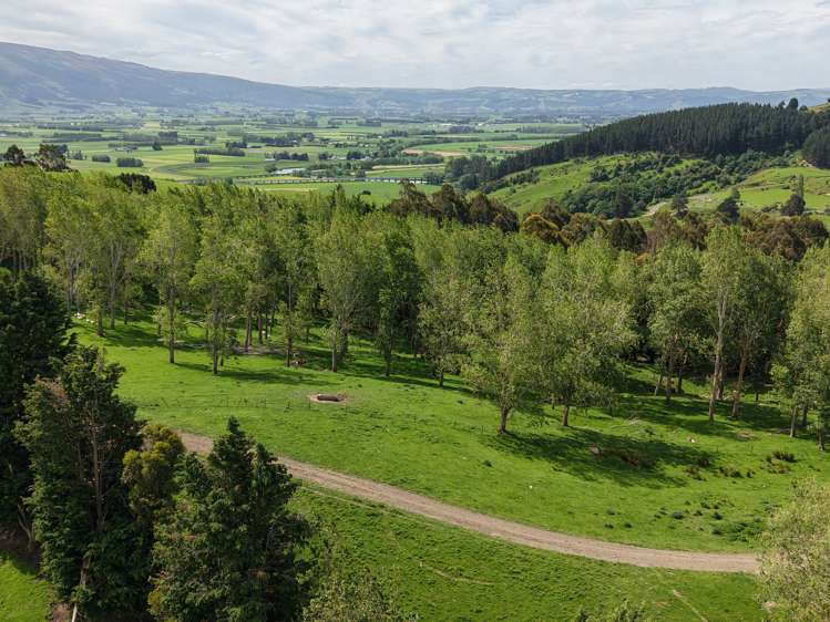 Otokia-Kuri Bush Road West Henley_15