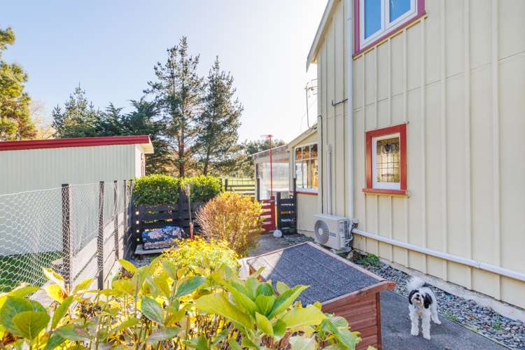 116 North Street Ashhurst_23