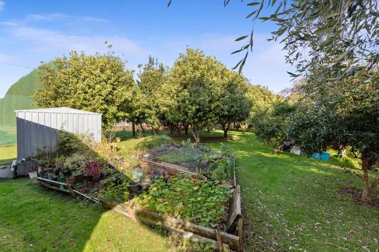 3 Donelle Place Te Puke_19