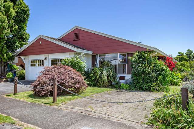 7 Avon Street Levin_1