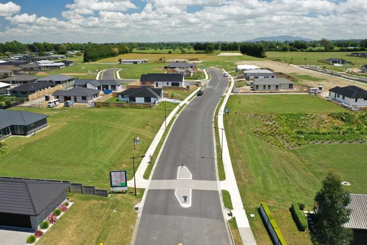 Pippins Development_0