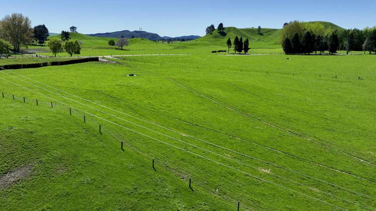 441 State Highway 38 Rerewhakaaitu_2