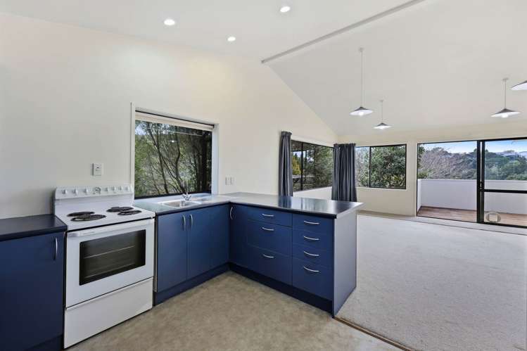 14 Learmonth Avenue Birkenhead Point_31