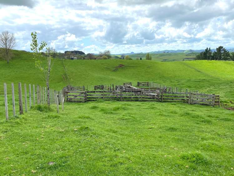 23 Mairoa Road Piopio_5