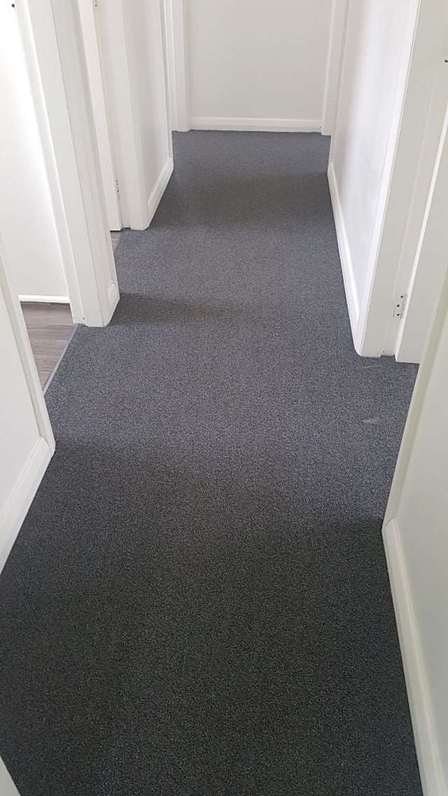 911 Bledisloe Street Raureka_4