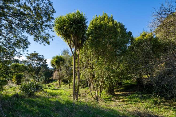 158 Wakamarina Road Havelock_17