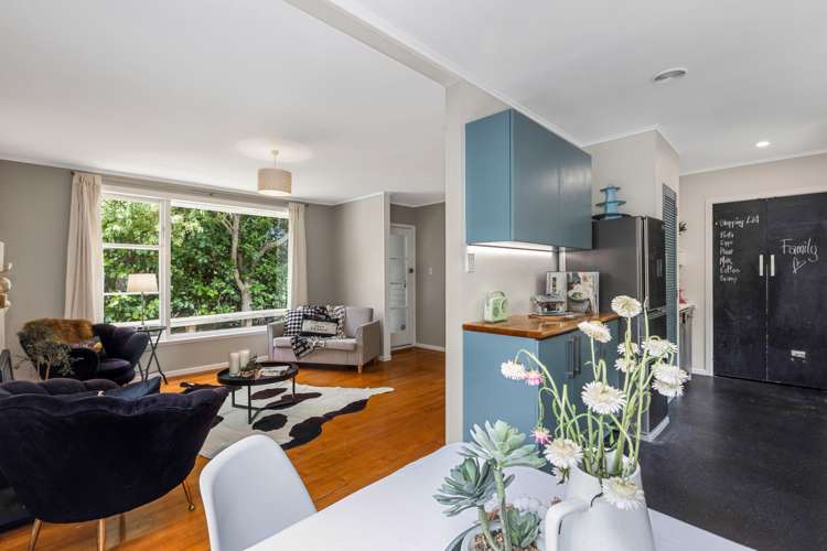 135 Miramar North Road Miramar_1