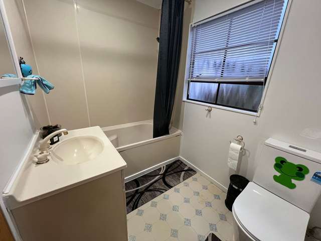 3 Eagle Street Karori_2