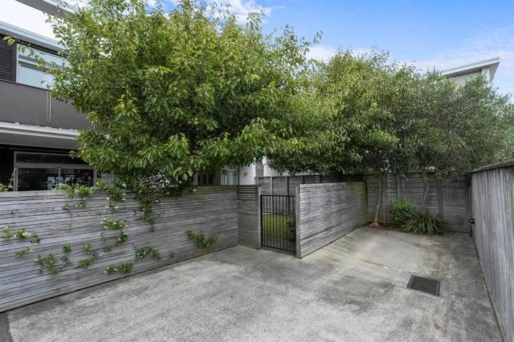 11/59 The Parade Island Bay_18