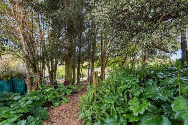 6B Frances Place Hunua_32