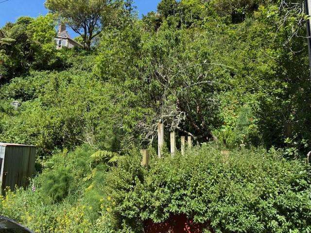 45A Holloway Road Aro Valley_2