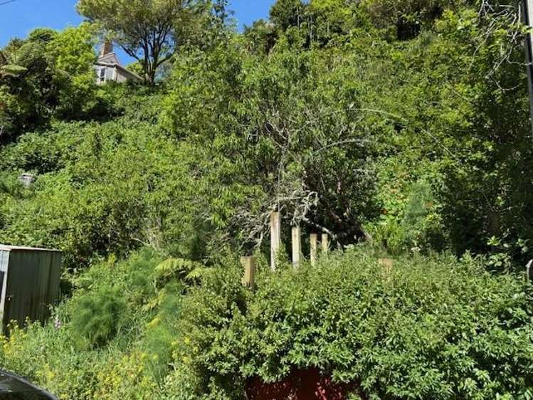 45A Holloway Road Aro Valley_2