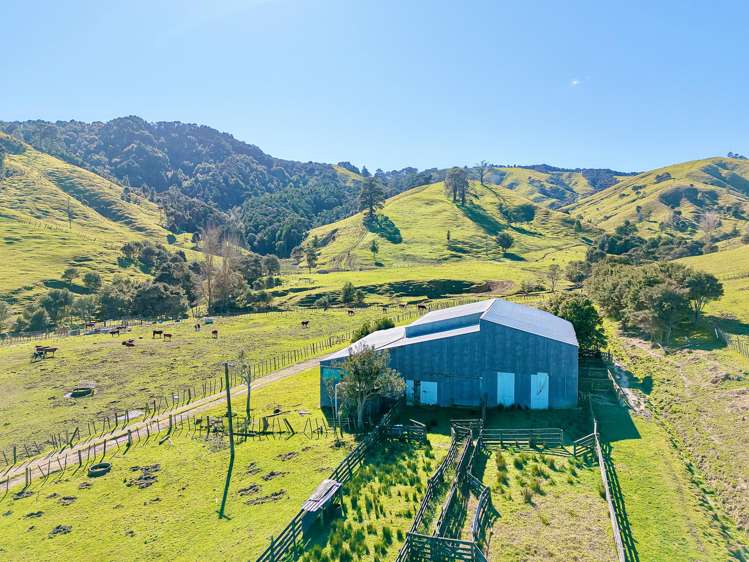 596 Waikare Road Waerenga_11