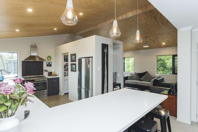 16 Massey Road Mangapapa_8