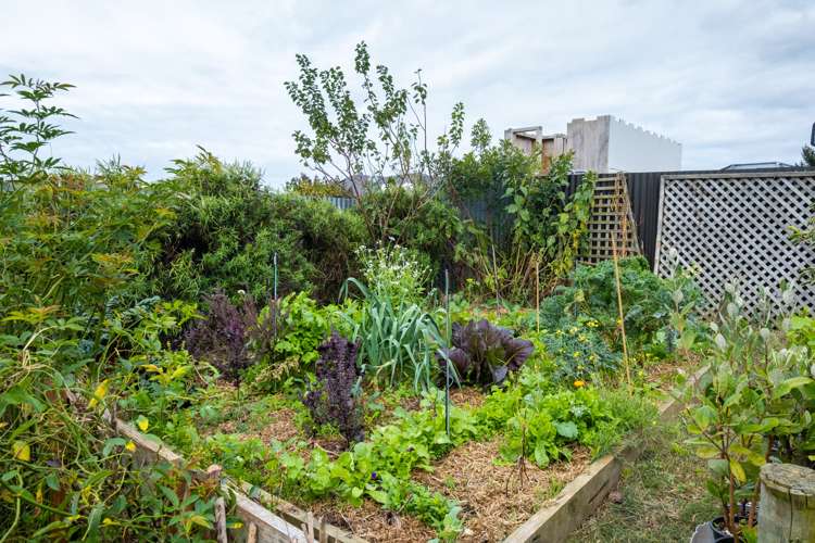 7 Henley Crescent Pirimai_19