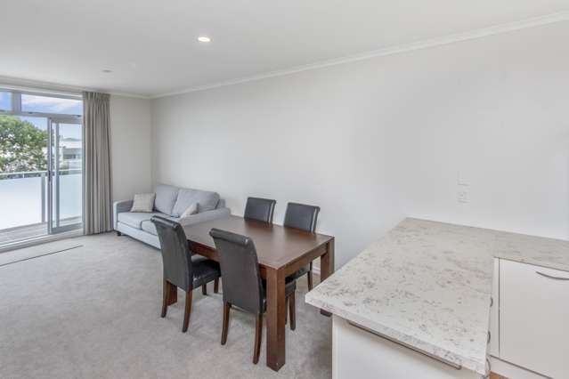 25m George Street Mount Eden_4