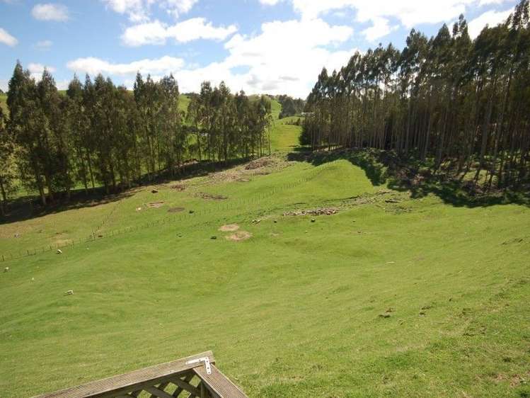 146 Whangamata Road Kinloch_8